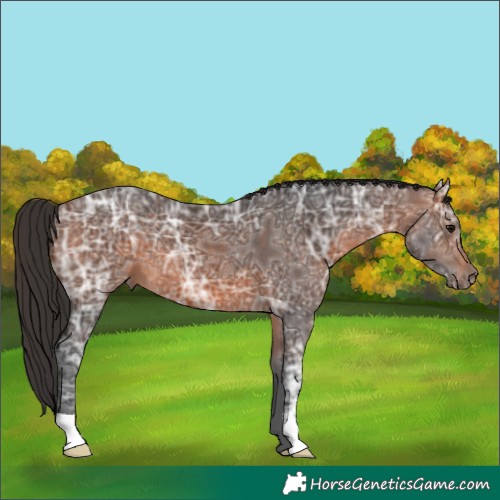 Horse Color:Brown Ice 