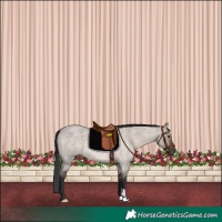 Horse Color:Brown Roan Dun Rabicano