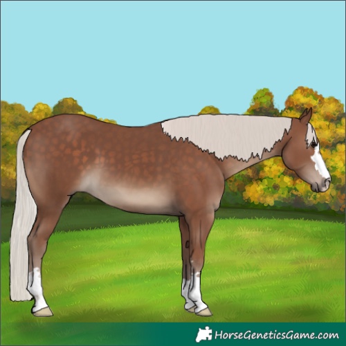 Horse Color:Silver Black 