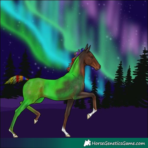 Horse Color:Painted Liver Chestnut 