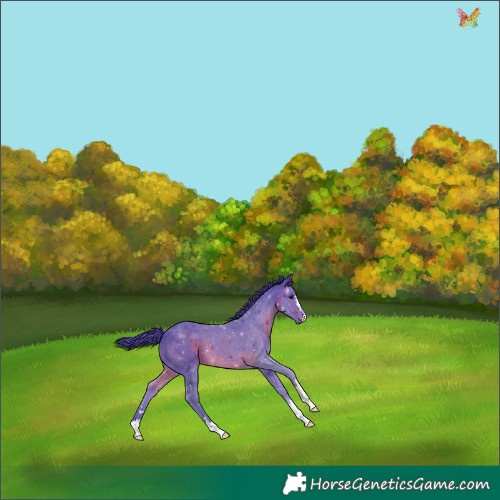Horse Color:Watercolor Brown