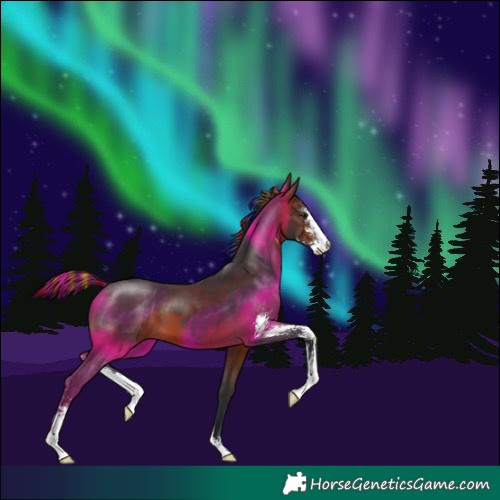 Horse Color:Painted Brown Sabino 