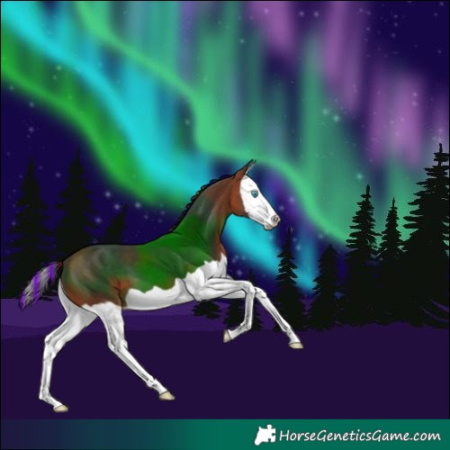 Horse Color:Painted Bay Splash