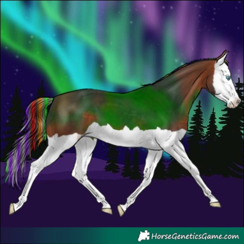 Horse Color:Painted Bay Splash 