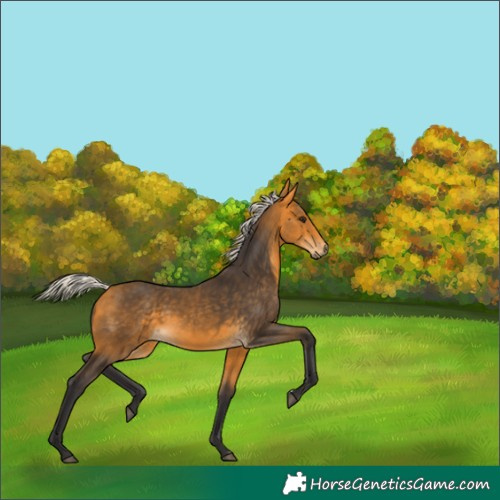 Horse Color:Silver Buckskin