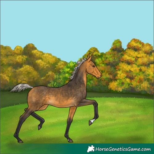 Horse Color:Silver Buckskin