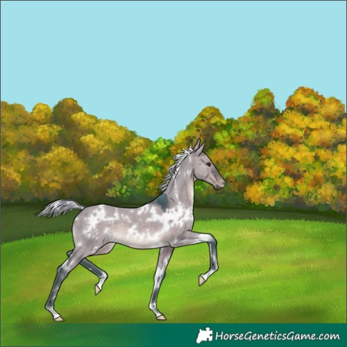Horse Color:Watercolor White Spotted Silver Brown Dun