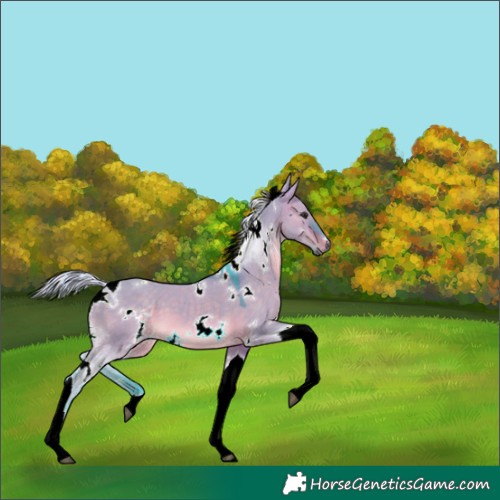 Horse Color:Watercolor White Spotted Silver Brown Dun Tobiano 