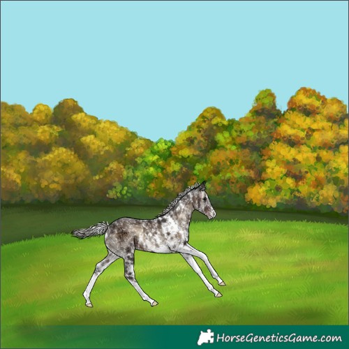 Horse Color:White Spotted Silver Blue Onyx Ice