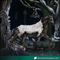 Horse Color:Smoky Grullo Roan 