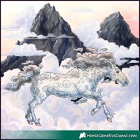 Horse Color:Buckskin Roan Dun Tobiano 