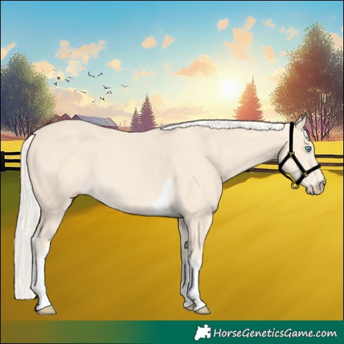 Horse Color:Cremello Tobiano 