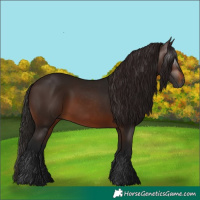 Horse Color:Gray Bay 