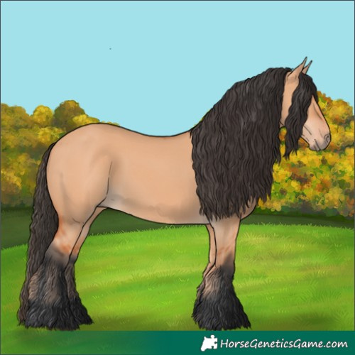 Horse Color:Bay Dun