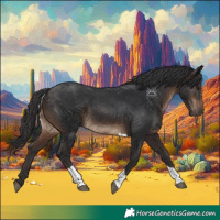 Horse Color:White Spotted Brown Tobiano 
