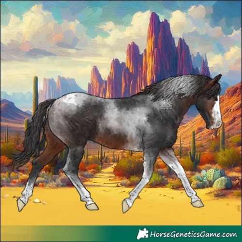 Horse Color:Brown Tobiano 