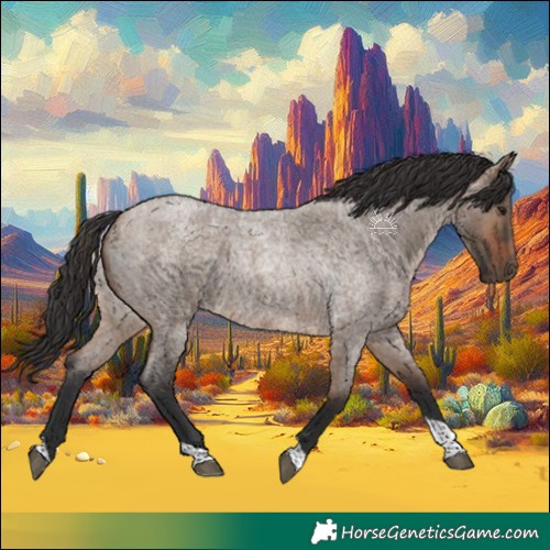 Horse Color:Brown Roan Dun Tobiano 