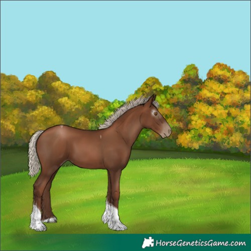 Horse Color:Gray Silver Black Pearl Tobiano 