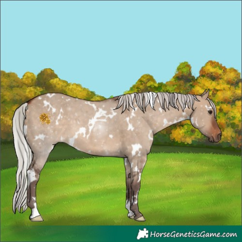 Horse Color:White Spotted Silver Brown Dun 