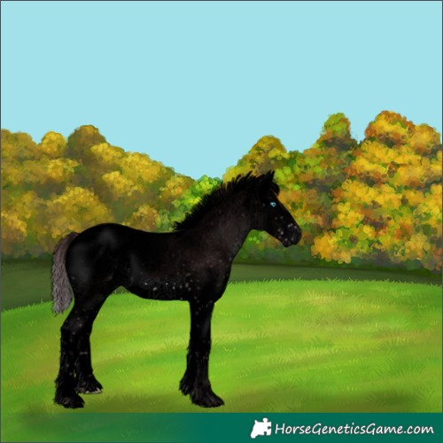 Horse Color:Void Platinum Chocolate Brown Sabino Splash 