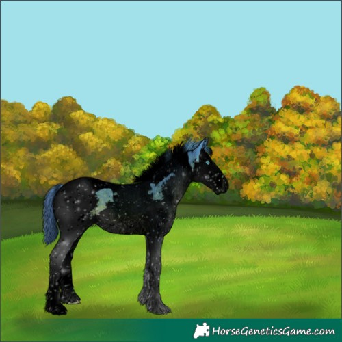 Horse Color:Void Watercolor Liver Chestnut Splash Tobiano