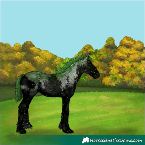 Horse Color:Void Watercolor White Spotted Brown Ice Sabino Splash 