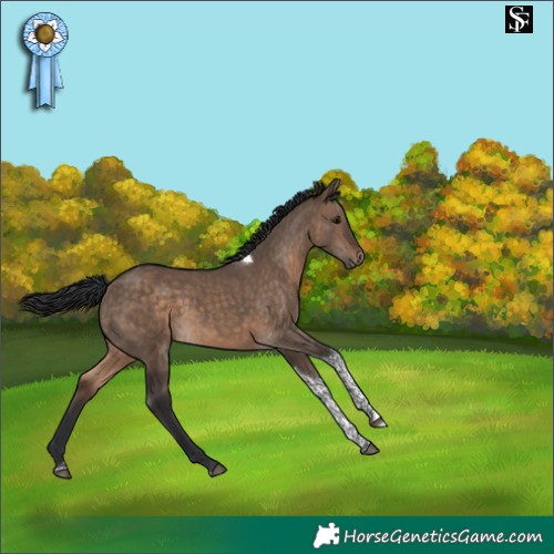 Horse Color:Brown Dun Tobiano 