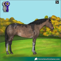 Horse Color:Brown Dun Tobiano 