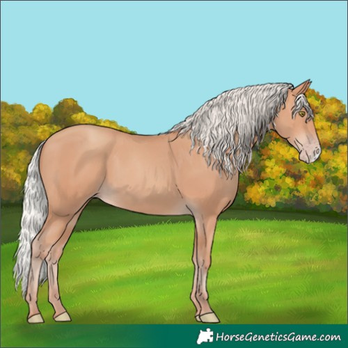 Horse Color:Silver Amber Champagne Frame 
