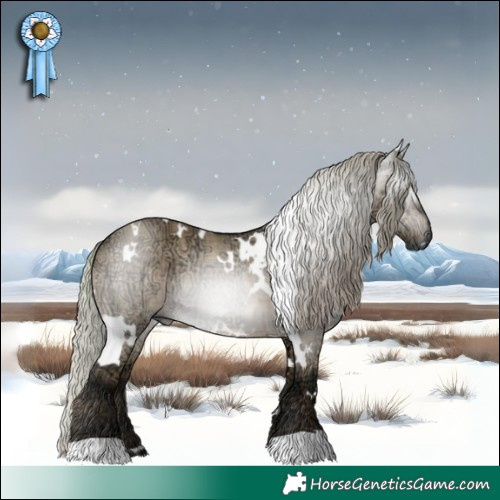 Horse Color:Gray Plaid  White Spotted Silver Brown Ice Dun 