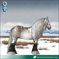 Horse Color:Gray Plaid White Spotted Silver Brown Ice Dun