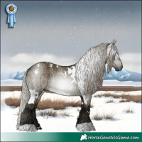 Horse Color:Gray Plaid White Spotted Silver Brown Ice Dun