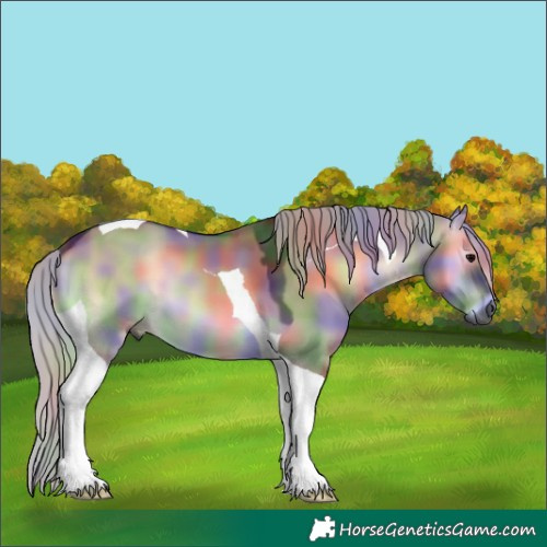 Horse Color:Gray Nacre Silver Brown Onyx Tobiano 