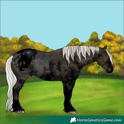 Horse Color:Void Watercolor White Spotted Midnight Silver Sable Champagne Ice Varnish 