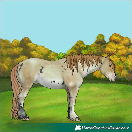 Horse Color:Void Watercolor White Spotted Gold Champagne Sabino 