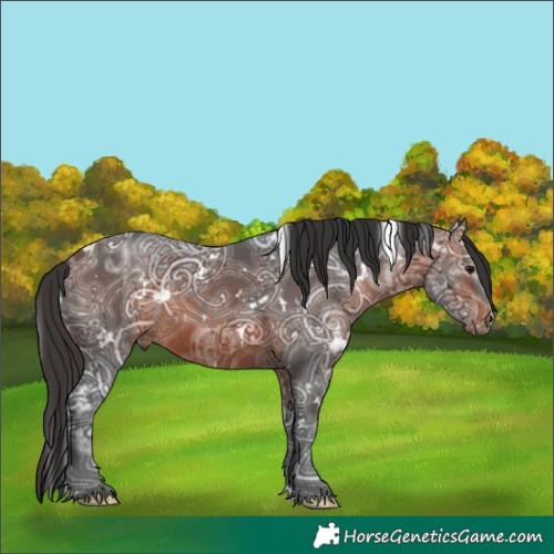 Horse Color:White Spotted Bay Ice
