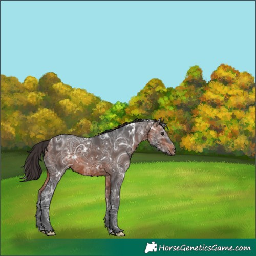Horse Color:White Spotted Bay Ice