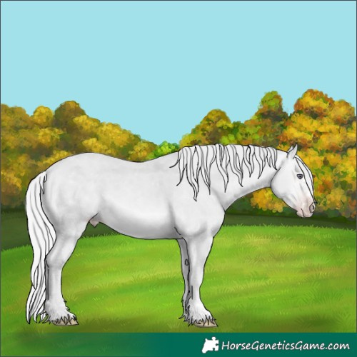Horse Color:Silver Sable Champagne Chinchilla Sabino 