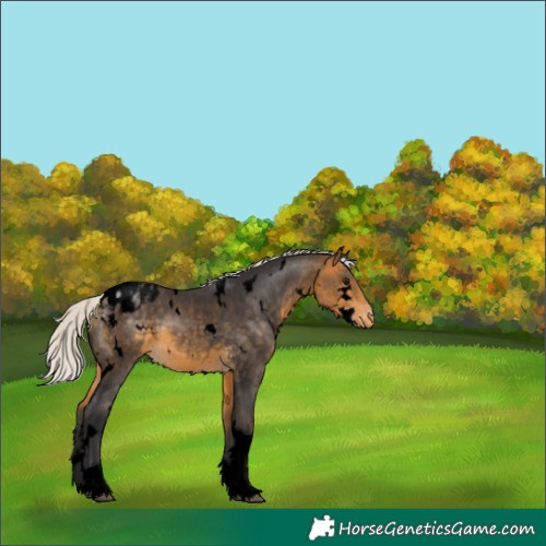 Horse Color:Void White Spotted Silver Buckskin Tobiano Varnish 