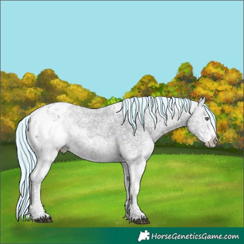 Horse Color:Painted Watercolor Midnight Silver Brown Chinchilla Ice Sabino 
