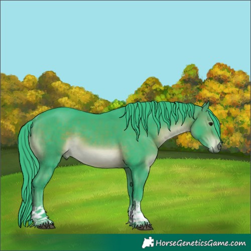 Horse Color:Watercolor Brown Sabino Tobiano 
