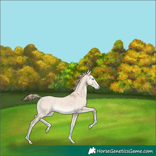 Horse Color:Perlino Dun