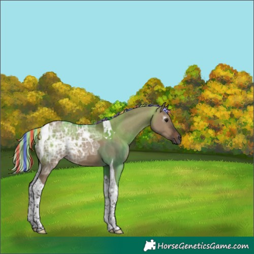 Horse Color:Gray Painted Silver Brown Ice Dun Tobiano 
