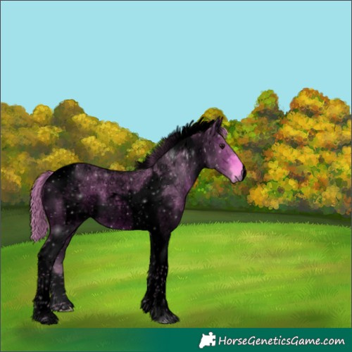 Horse Color:Void Watercolor Bay Roan Tobiano 