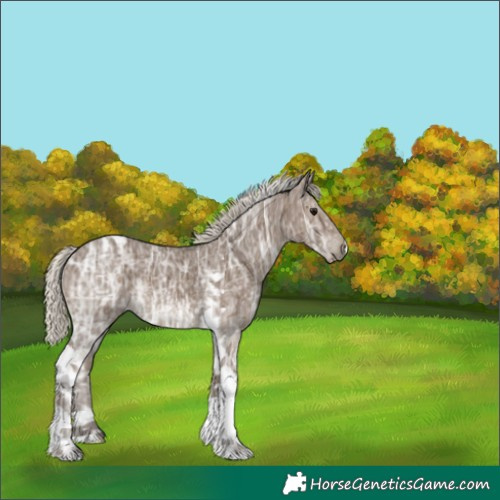 Horse Color:Silver Smoky Black Ice Tobiano Rabicano 
