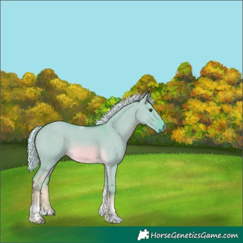 Horse Color:Watercolor Chocolate Palomino Dun Tobiano 