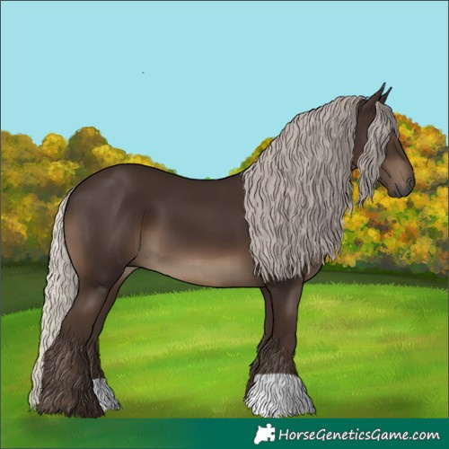 Horse Color:Unknown 