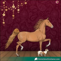 Horse Color:Chestnut Splash Tobiano