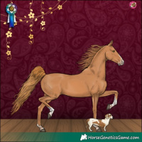 Horse Color:Chestnut Splash Tobiano 