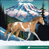 Horse Color:Chestnut Splash Tobiano 